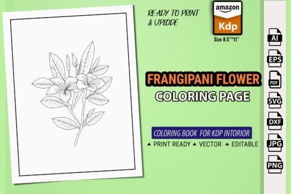 Frangipani Flowers, Coloring Page Book