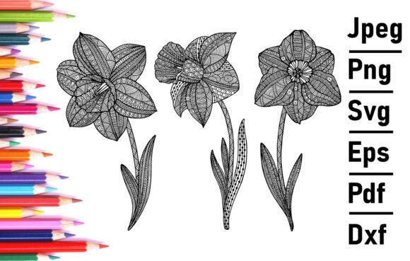 Narcissus for Adult Coloring Book Kids